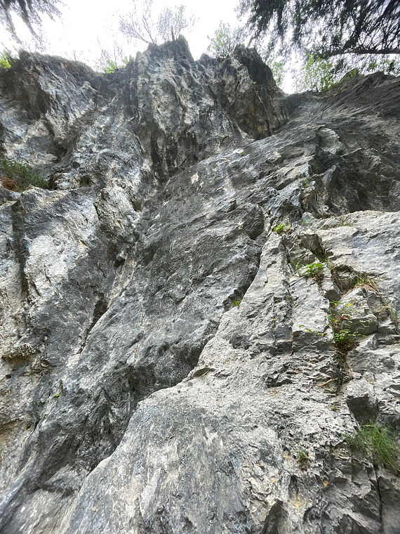 Schattenreich Ende 