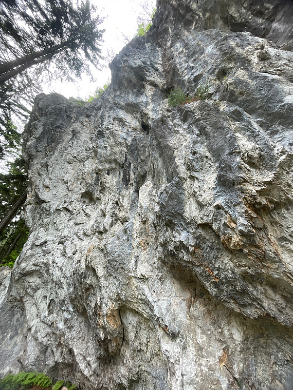 Schattenreich Ende 