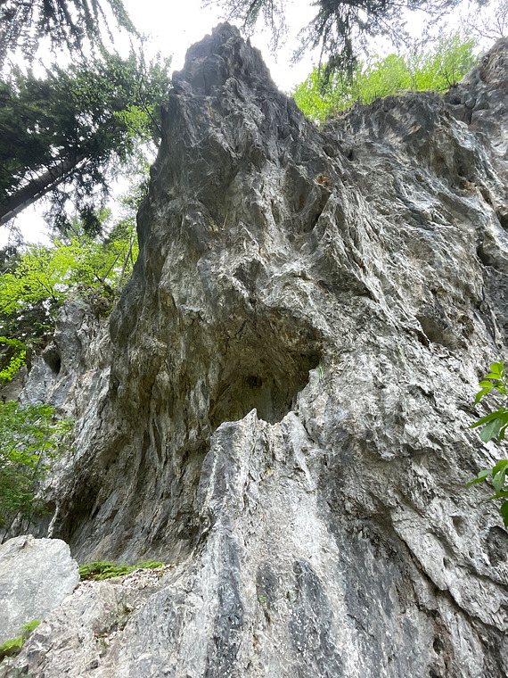 Schattenreich Ende 