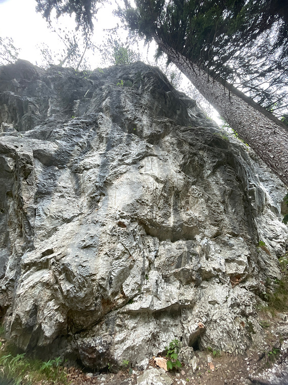 Vordere Wand 