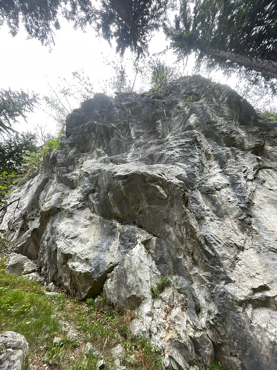 Vordere Wand 