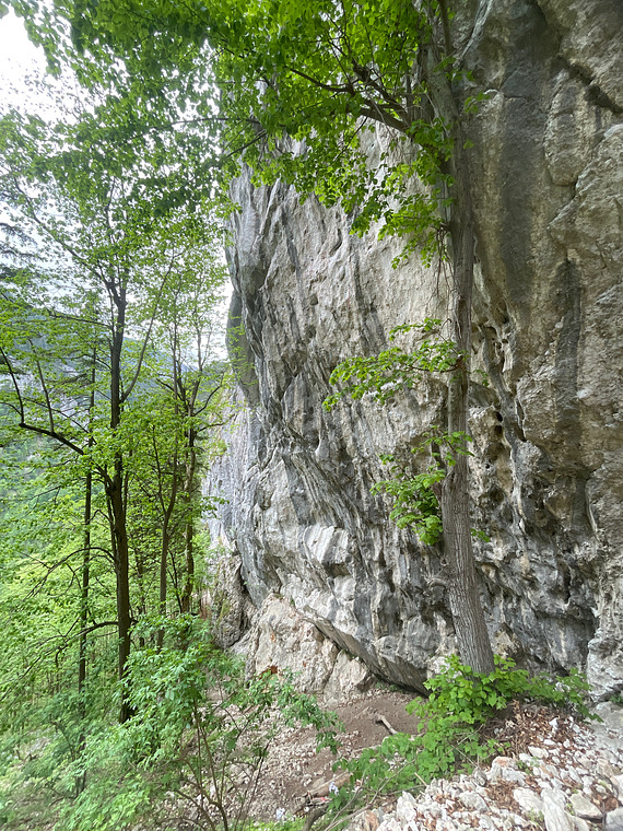 Niemandsland 