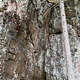 Boulder problem #7 thumbnail