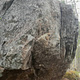 Uinuvat koivut thumbnail