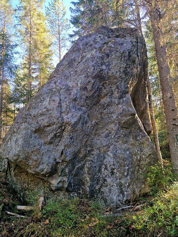 King Konginkari