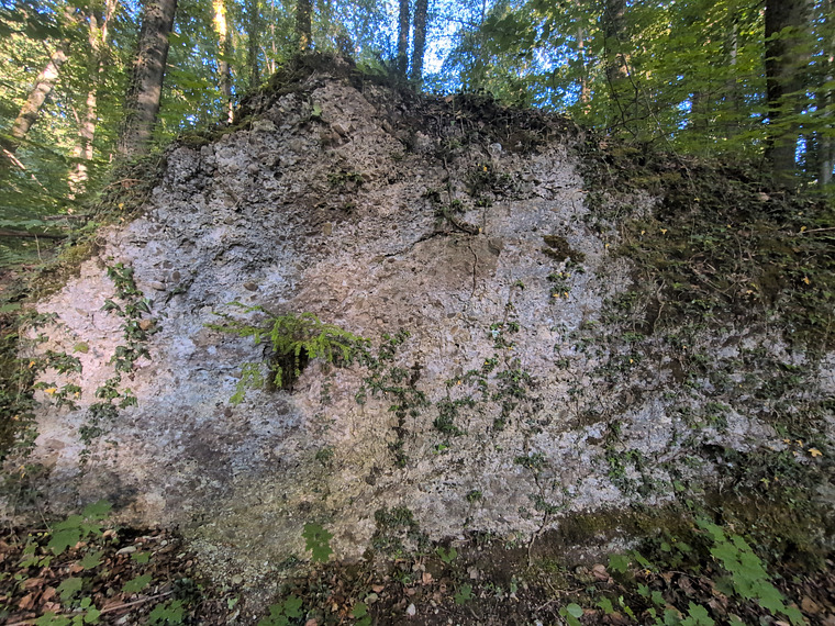 Brittle rock
