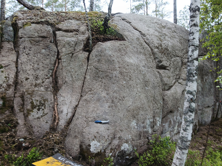 Näset