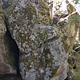 Hyllyke thumbnail