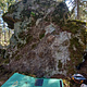 Metsäpöllönen thumbnail