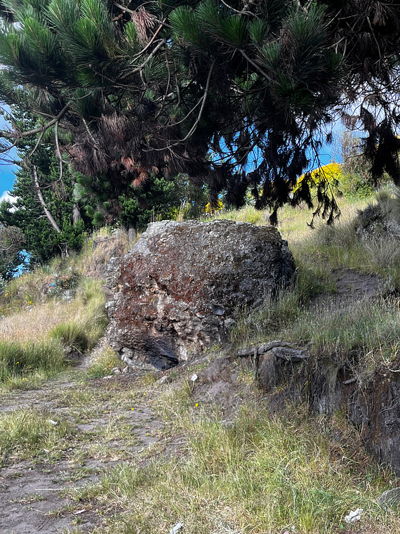 Tigua