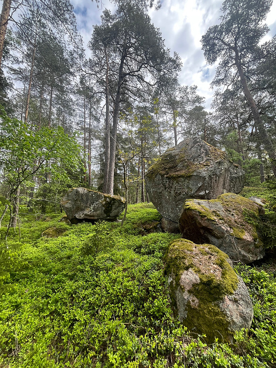Blocken Stor & Liten