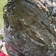 Aragog thumbnail