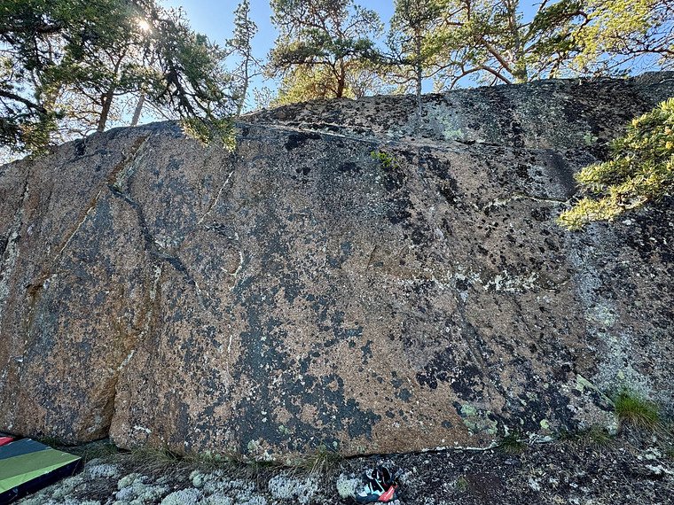 Havsörn