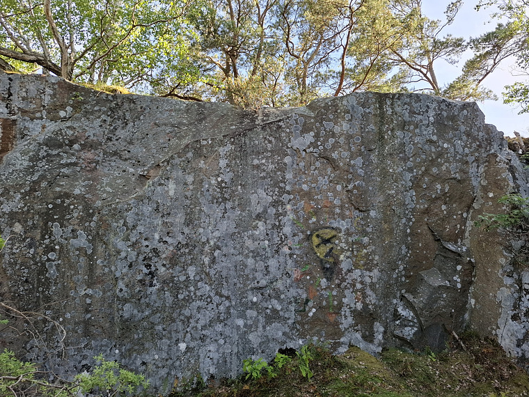 Skallen