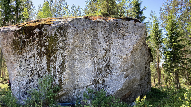 Salomonkallio