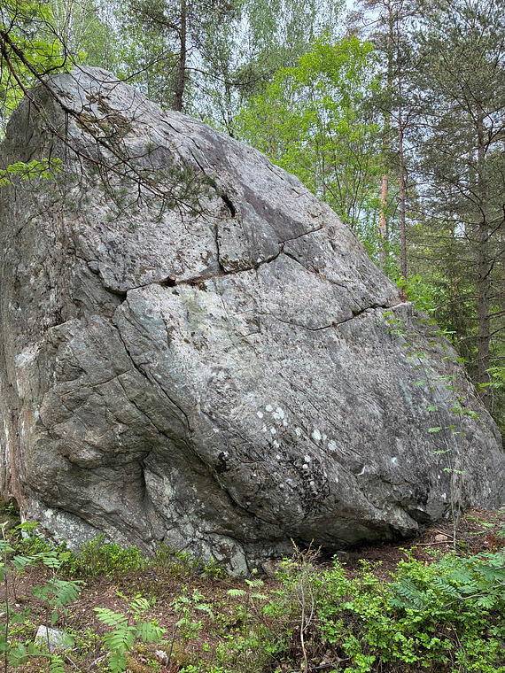 Transås stenen 