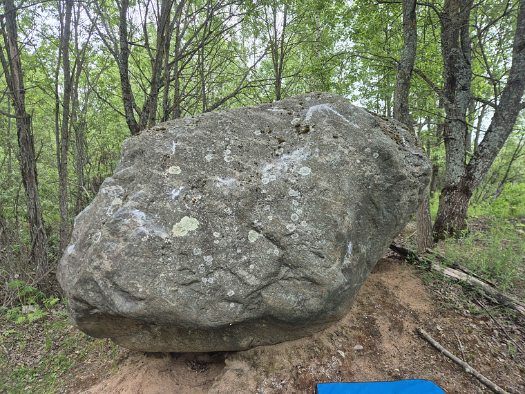 Kivi 1