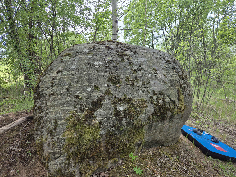 Kivi 1