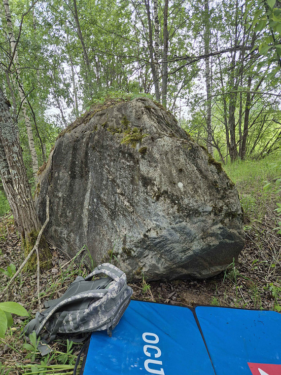 Kivi 2