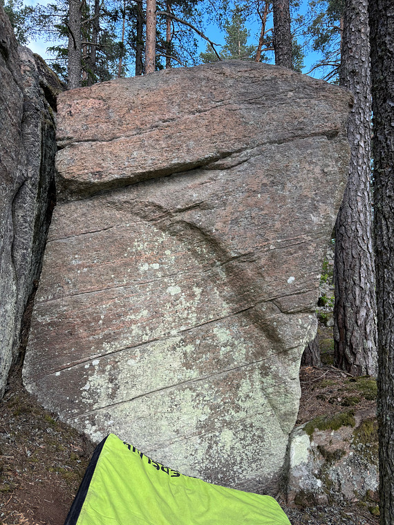 Torrgranen