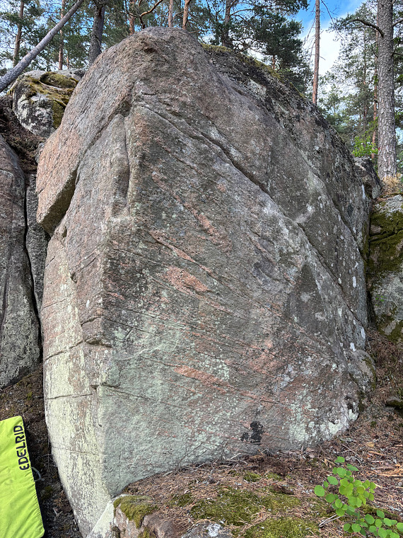 Torrgranen