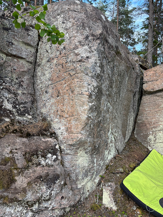 Torrgranen