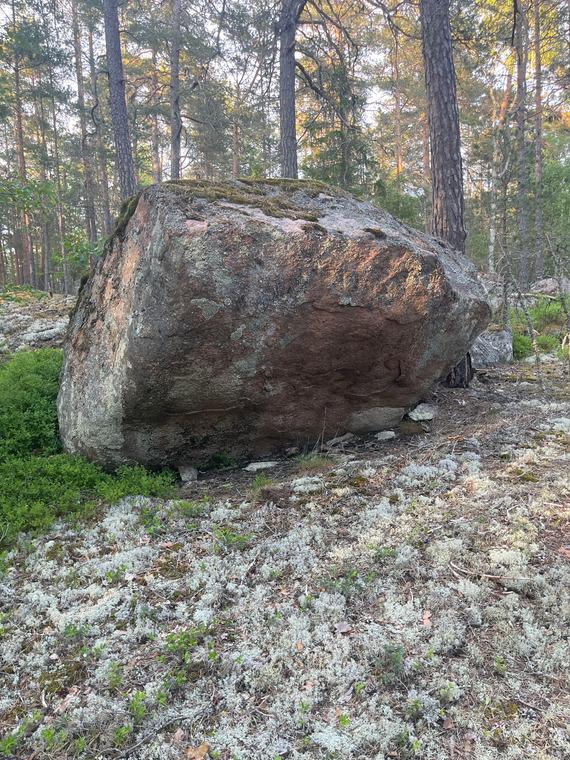 Skalbaggen