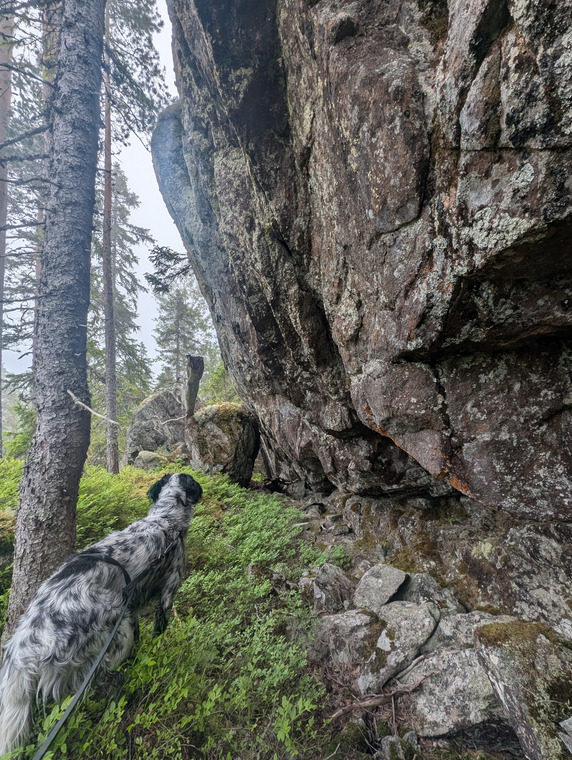 Nordväggen