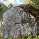 Knelende Youngblood’s Sit thumbnail