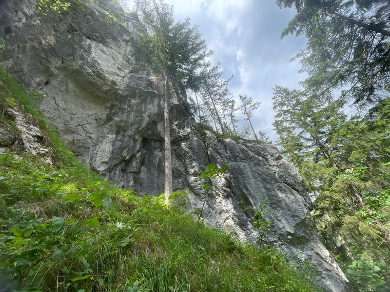 Hauptwand