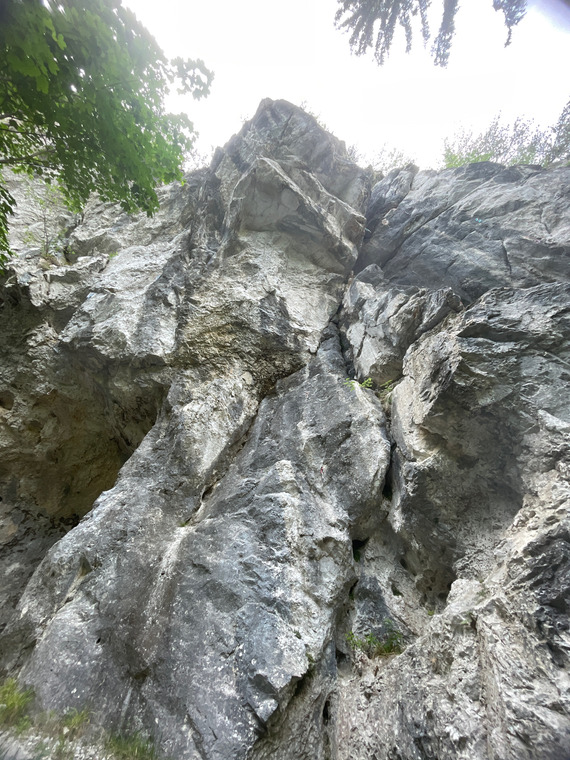 Hauptwand
