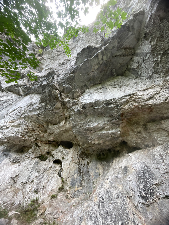 Hauptwand