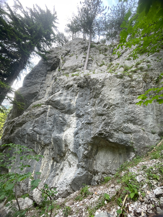 Vordere Wand 