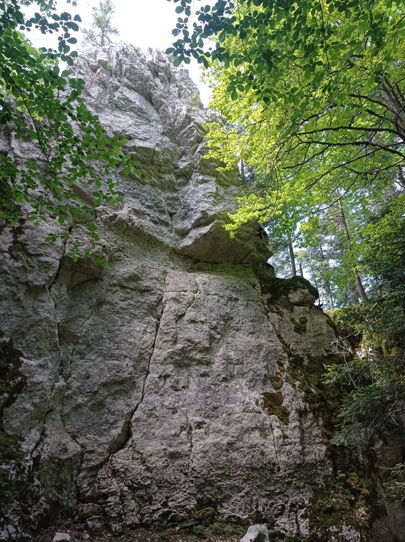 La voisine 