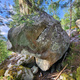 Pissotière thumbnail