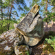 Pissotière assis thumbnail