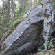 Skogsbad thumbnail