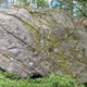Hallongrottan thumbnail