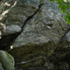 Kunglig Resning thumbnail