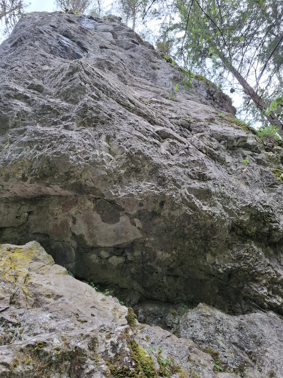 Veža