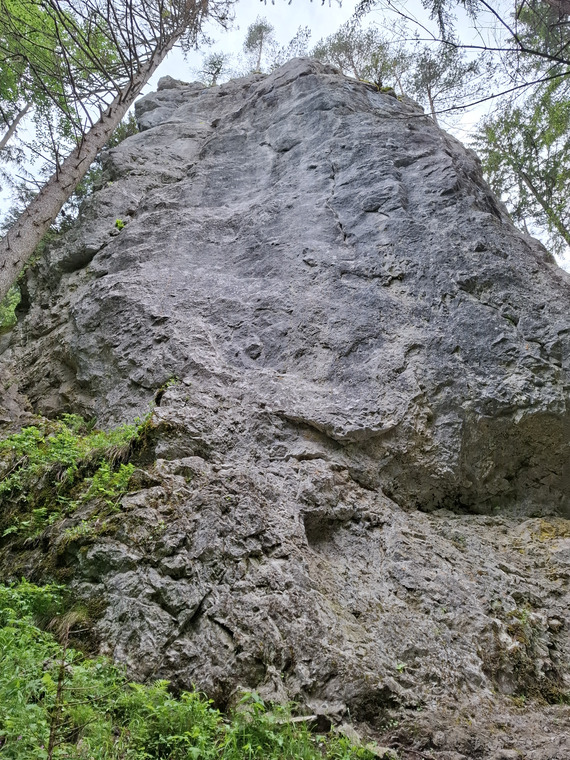 Veža