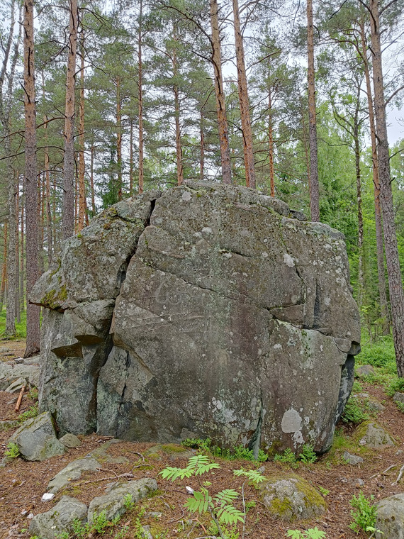 Purunnyrkki