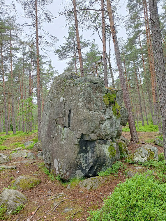 Purunnyrkki