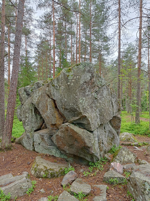 Purunnyrkki