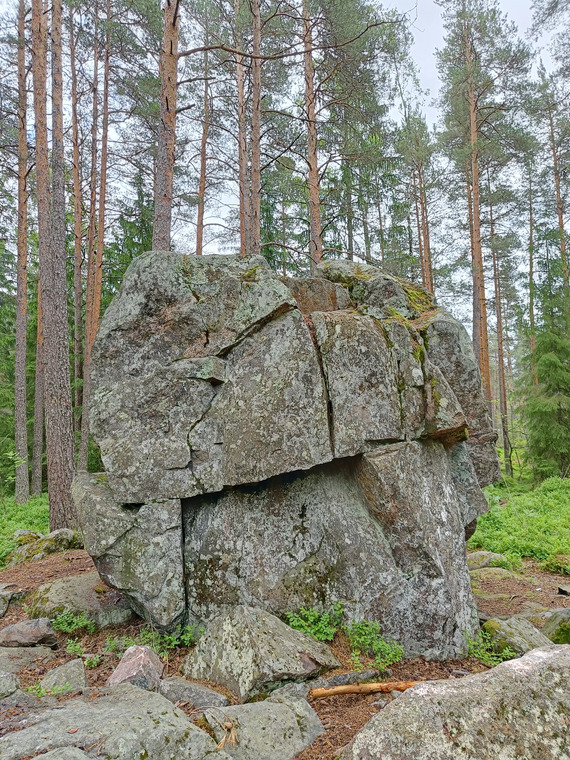 Purunnyrkki