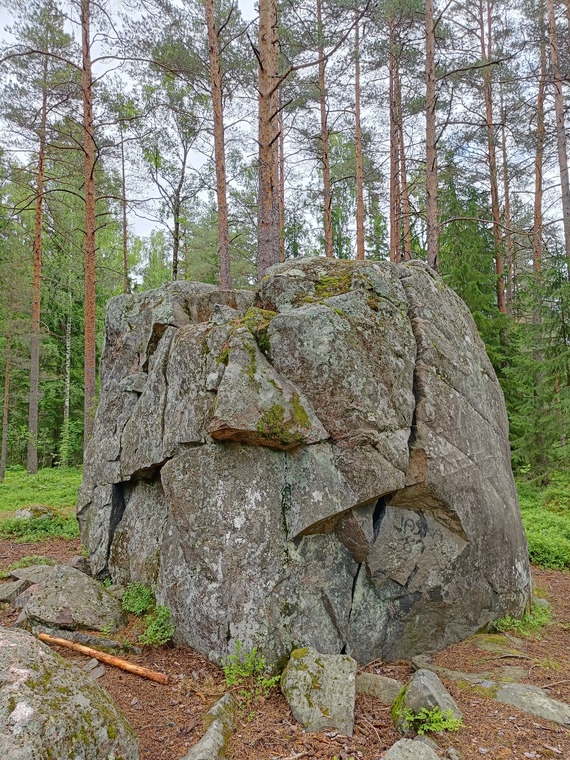 Purunnyrkki