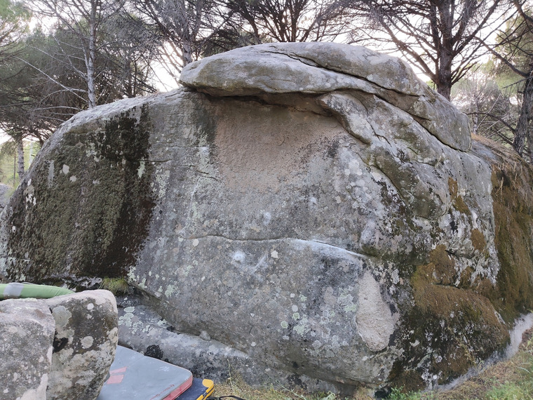 Taşeron