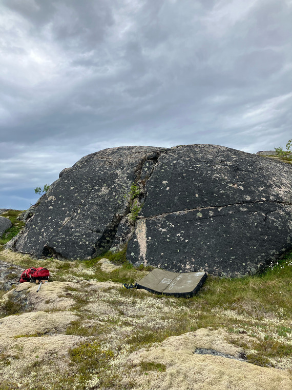 Svart sva