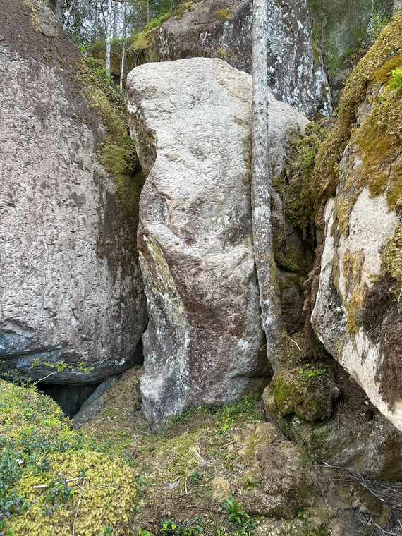 Fuochi Fatui