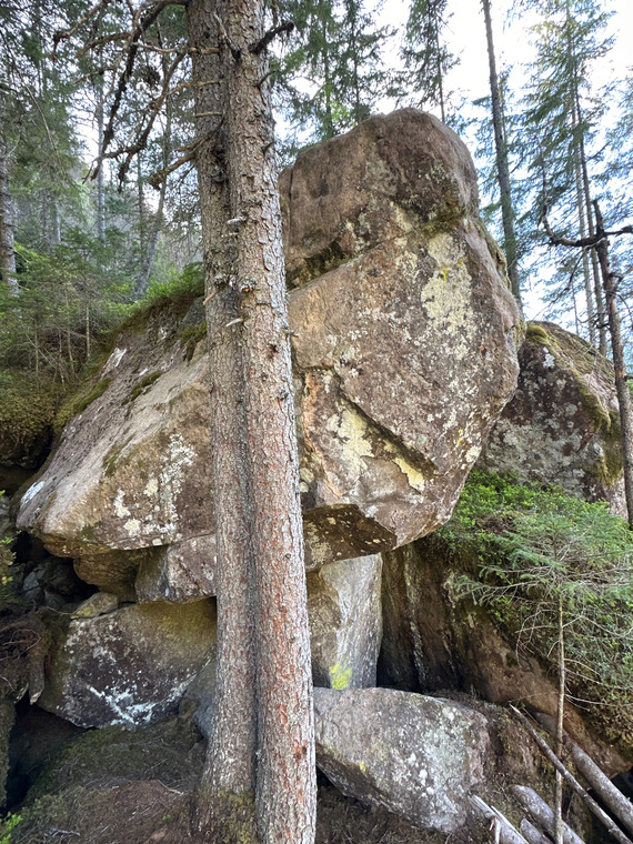 Ostrigonum 